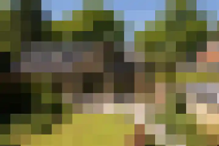 Dennenlaan 5 A Hollandsche Rading thumbnail 35