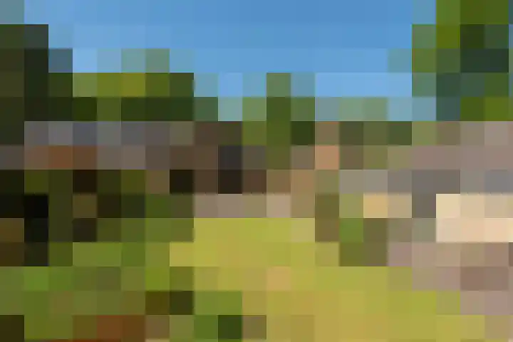 Dennenlaan 5 A Hollandsche Rading thumbnail 36