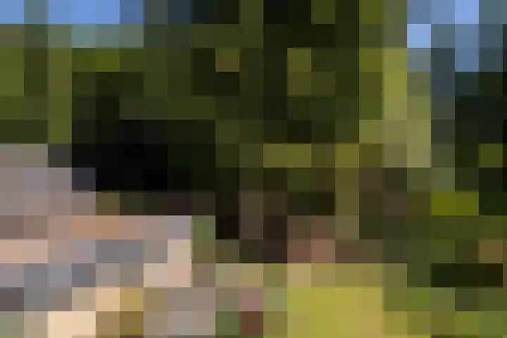 Dennenlaan 5 A Hollandsche Rading thumbnail 38