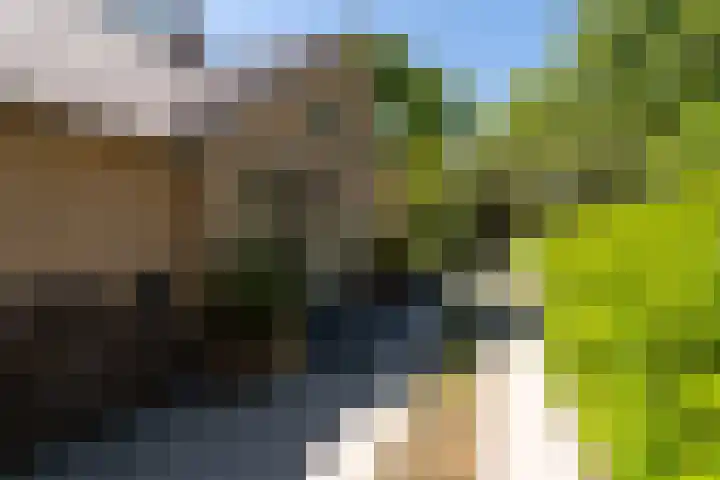 Dennenlaan 5 A Hollandsche Rading thumbnail 4