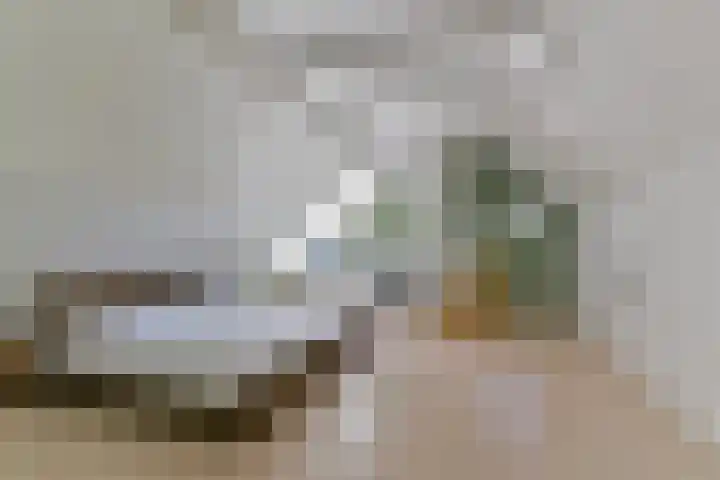 Dennenlaan 5 A Hollandsche Rading thumbnail 41