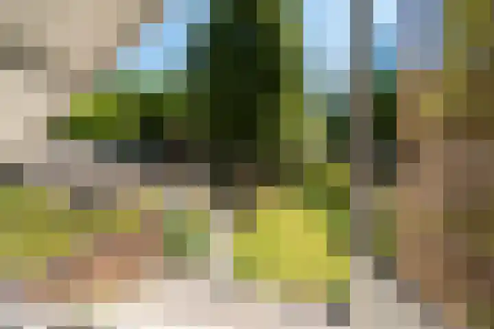 Dennenlaan 5 A Hollandsche Rading thumbnail 44