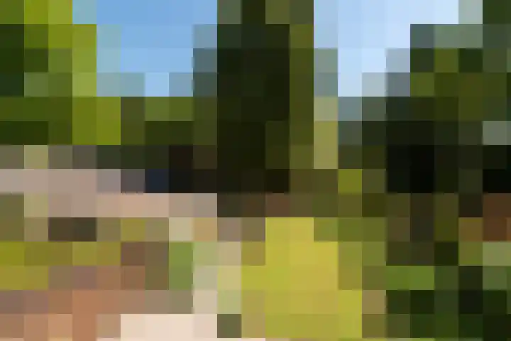Dennenlaan 5 A Hollandsche Rading thumbnail 45