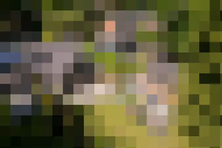 Dennenlaan 5 A Hollandsche Rading thumbnail 56