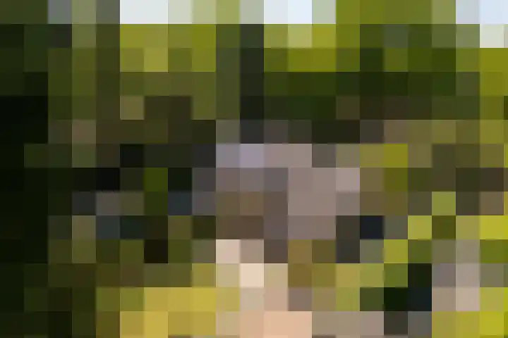 Dennenlaan 5 A Hollandsche Rading thumbnail 57