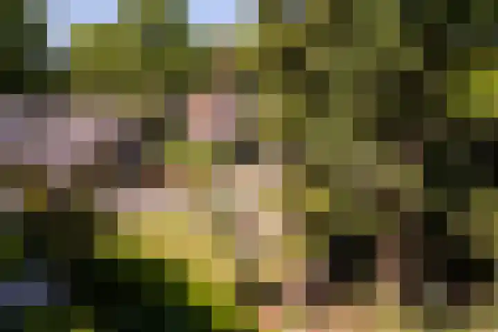 Dennenlaan 5 A Hollandsche Rading thumbnail 58