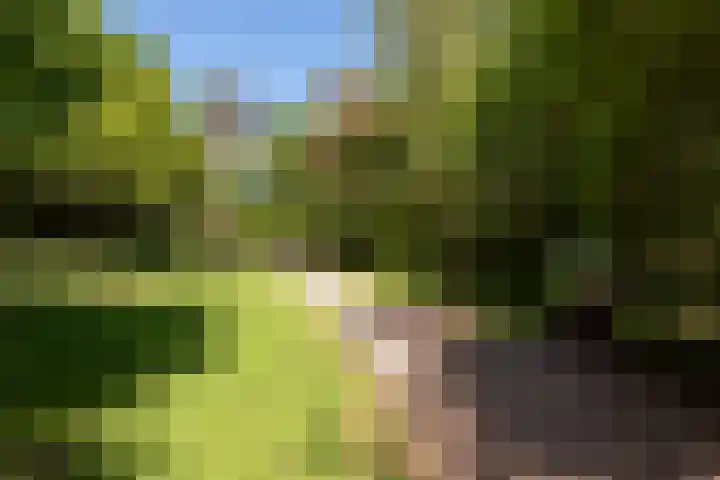 Dennenlaan 5 A Hollandsche Rading thumbnail 59