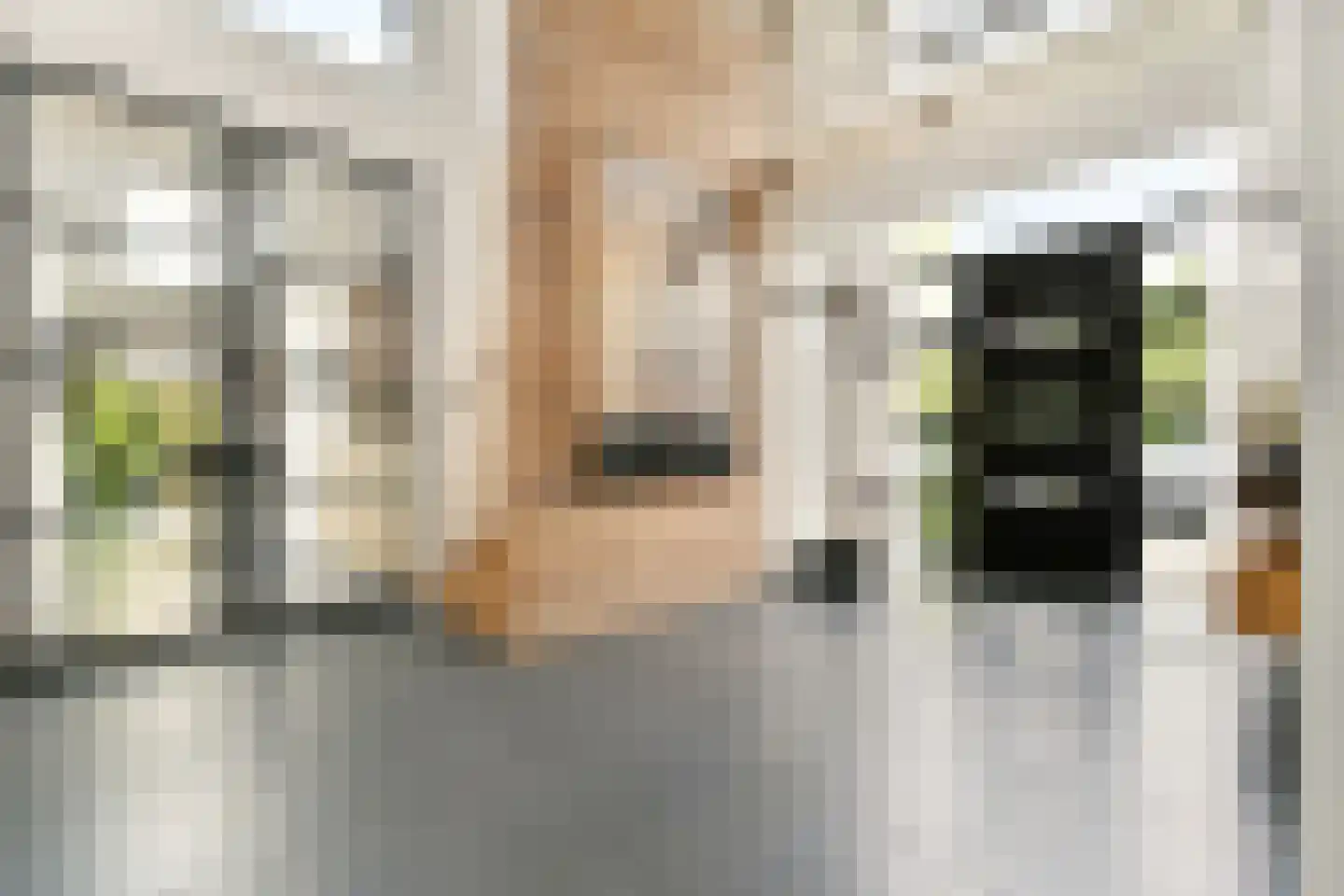 Dennenlaan 5 Dordrecht thumbnail 11