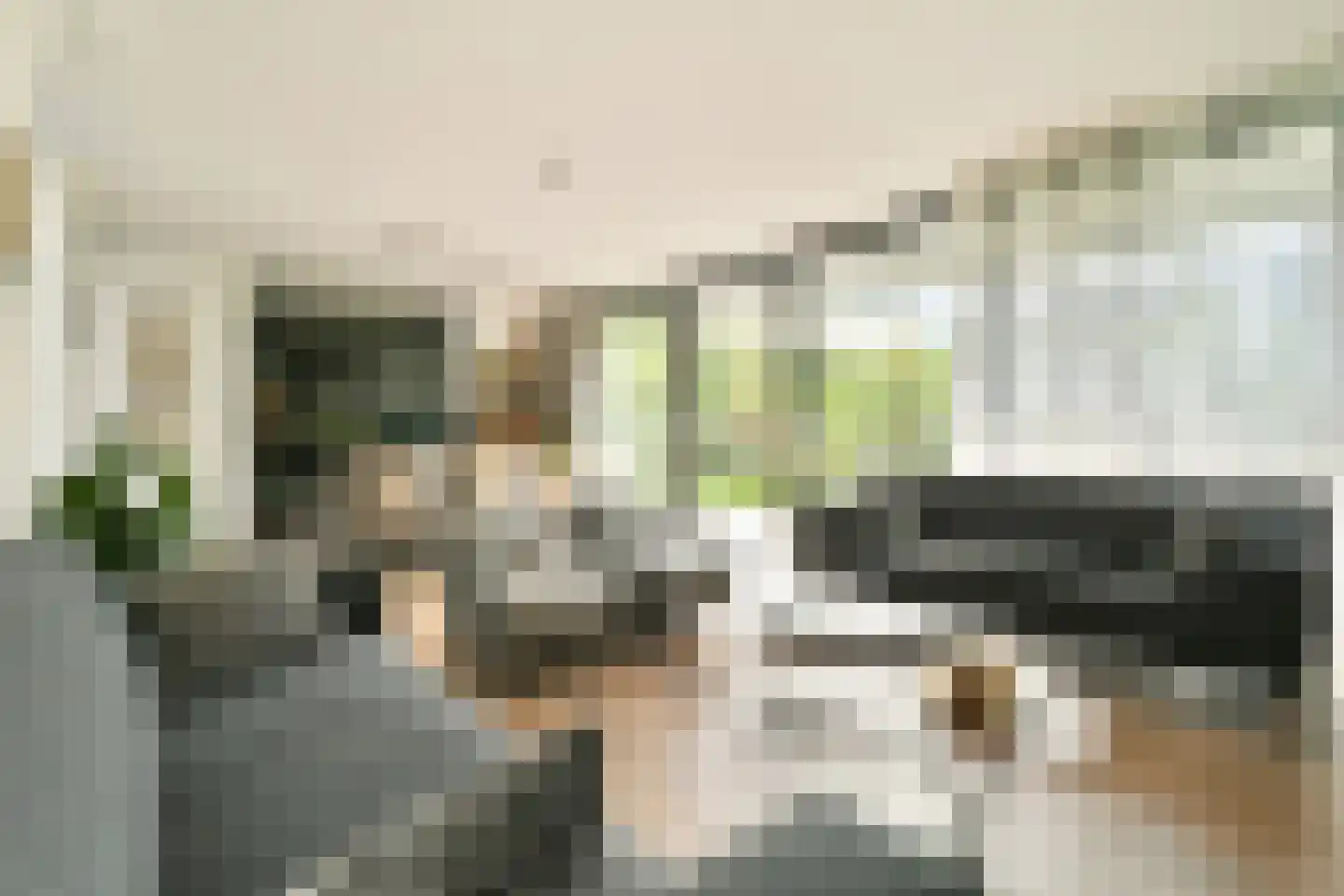 Dennenlaan 5 Dordrecht thumbnail 17