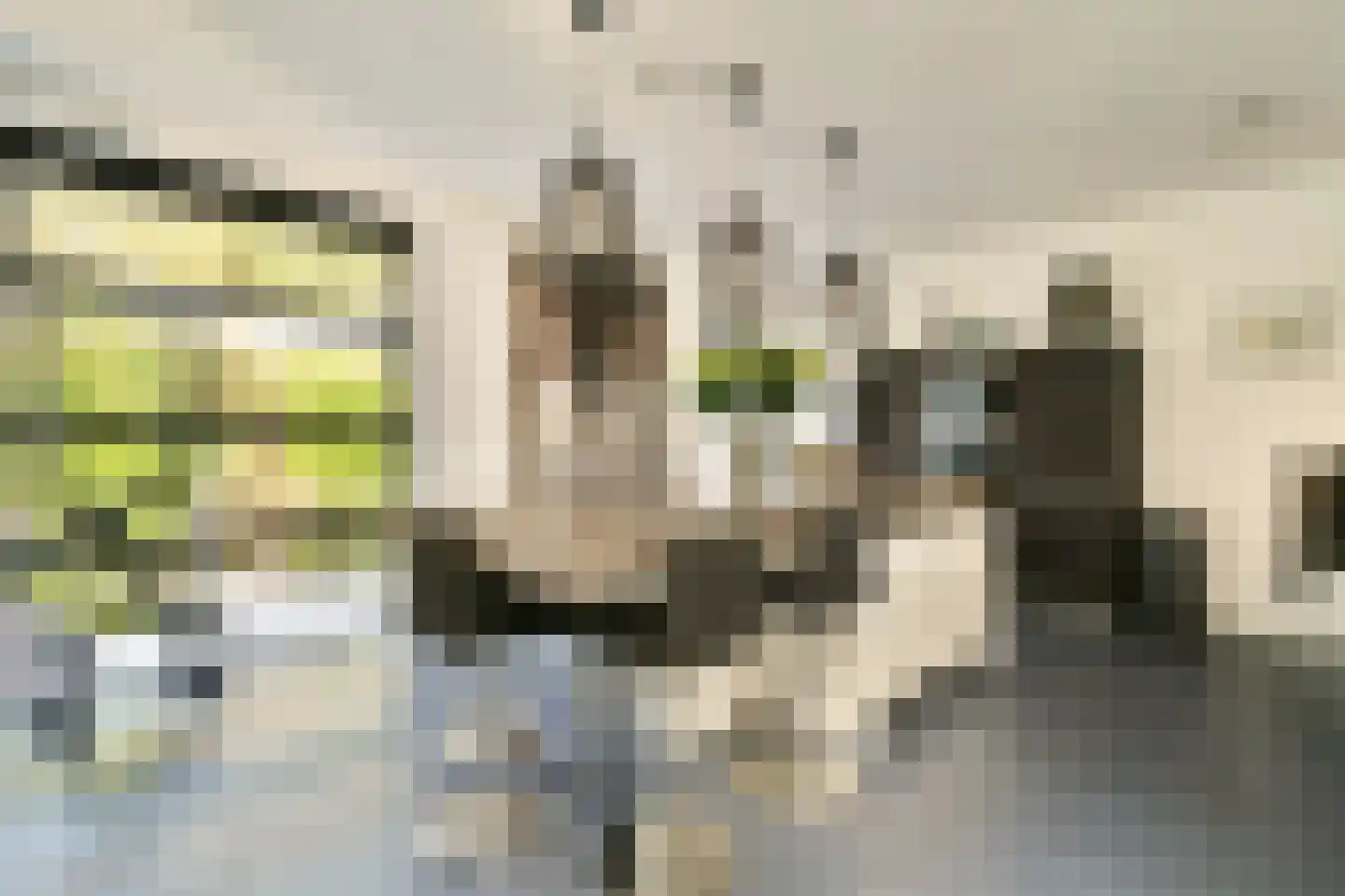 Dennenlaan 5 Dordrecht thumbnail 22