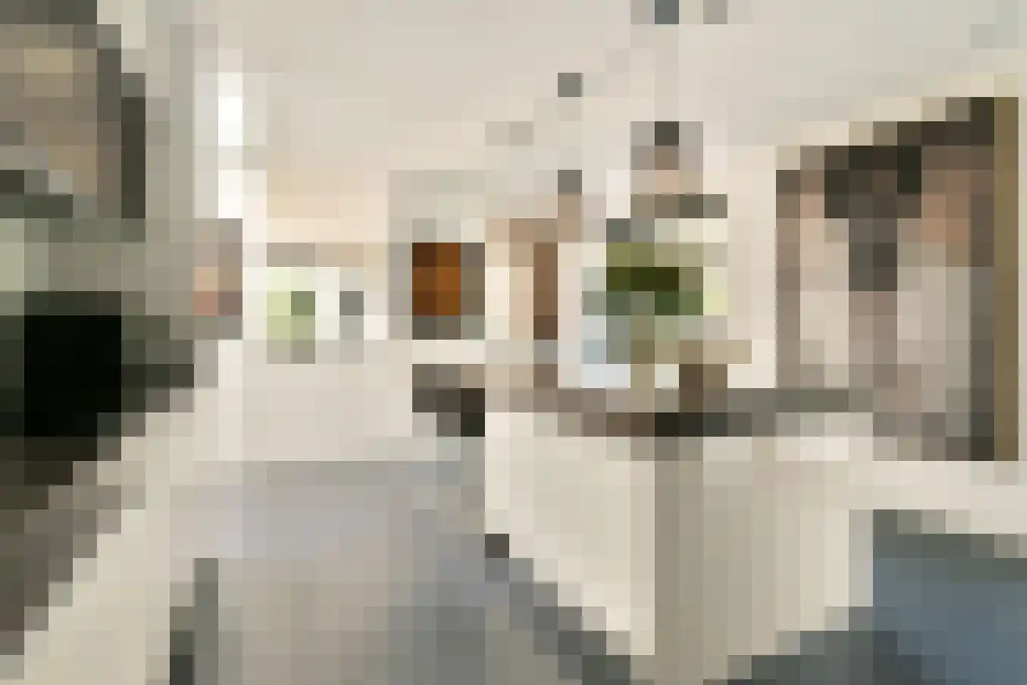 Dennenlaan 5 Dordrecht thumbnail 24