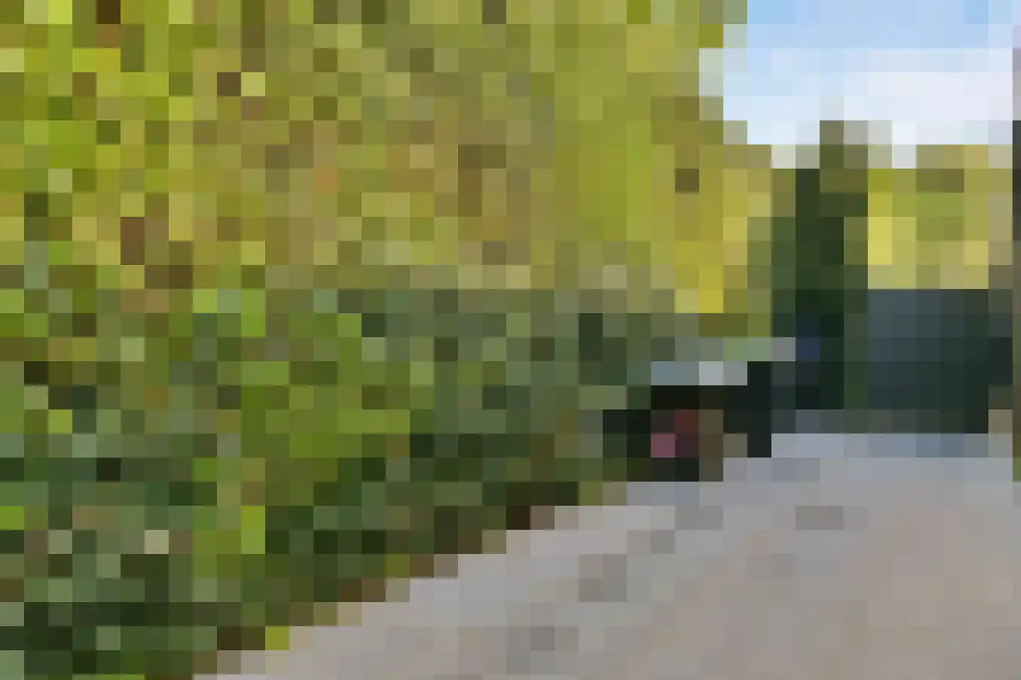 Dennenlaan 5 Dordrecht thumbnail 30