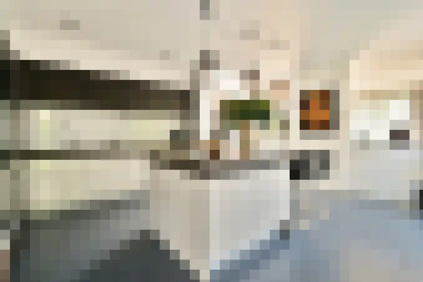 Dennenlaan 5 Dordrecht thumbnail 4