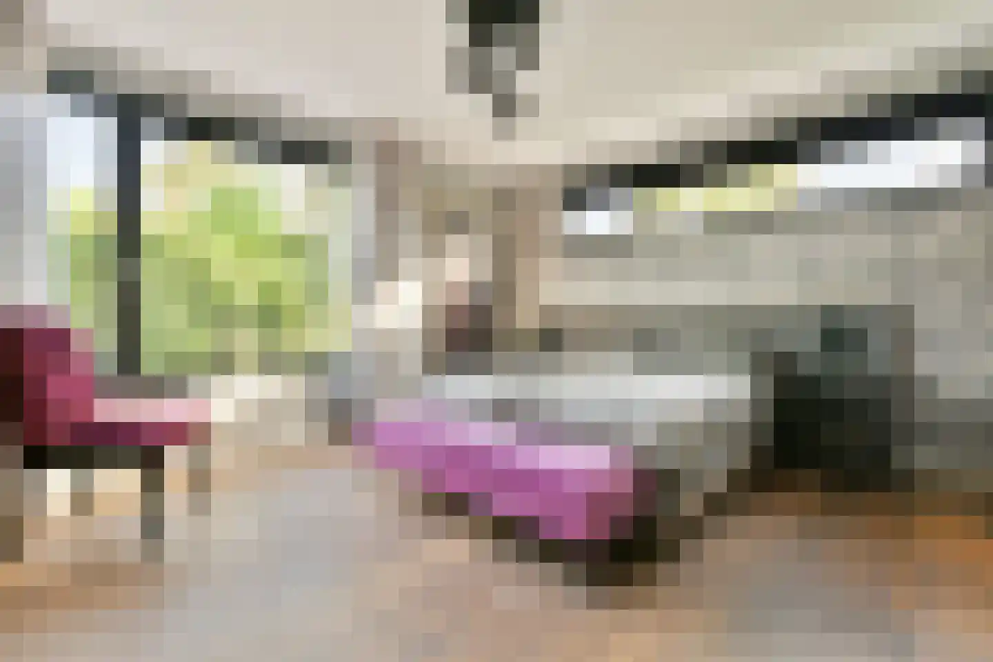 Dennenlaan 5 Dordrecht thumbnail 5