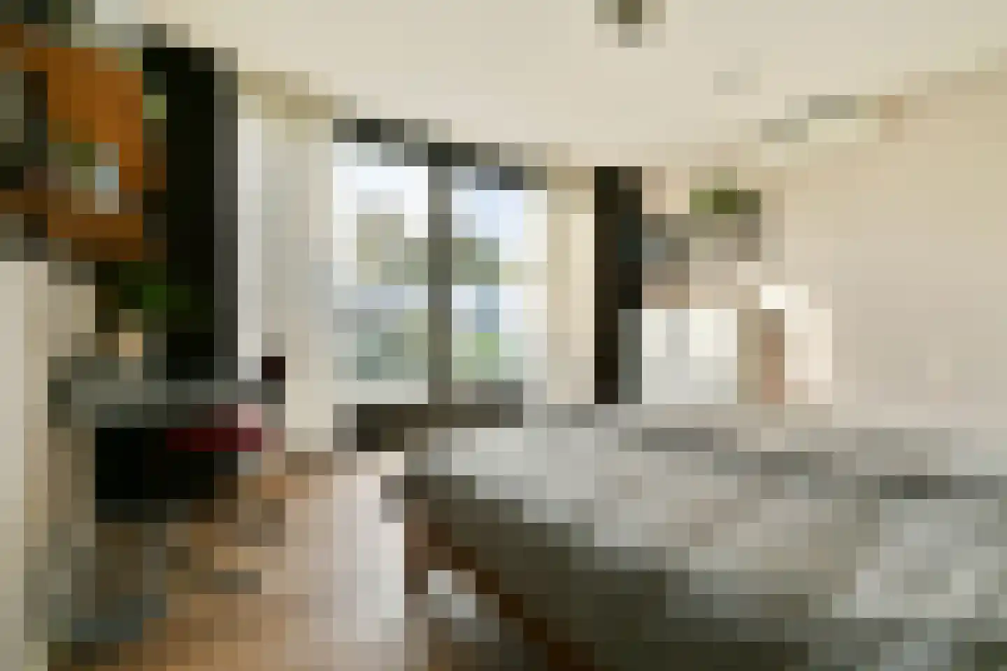 Dennenlaan 5 Dordrecht thumbnail 54