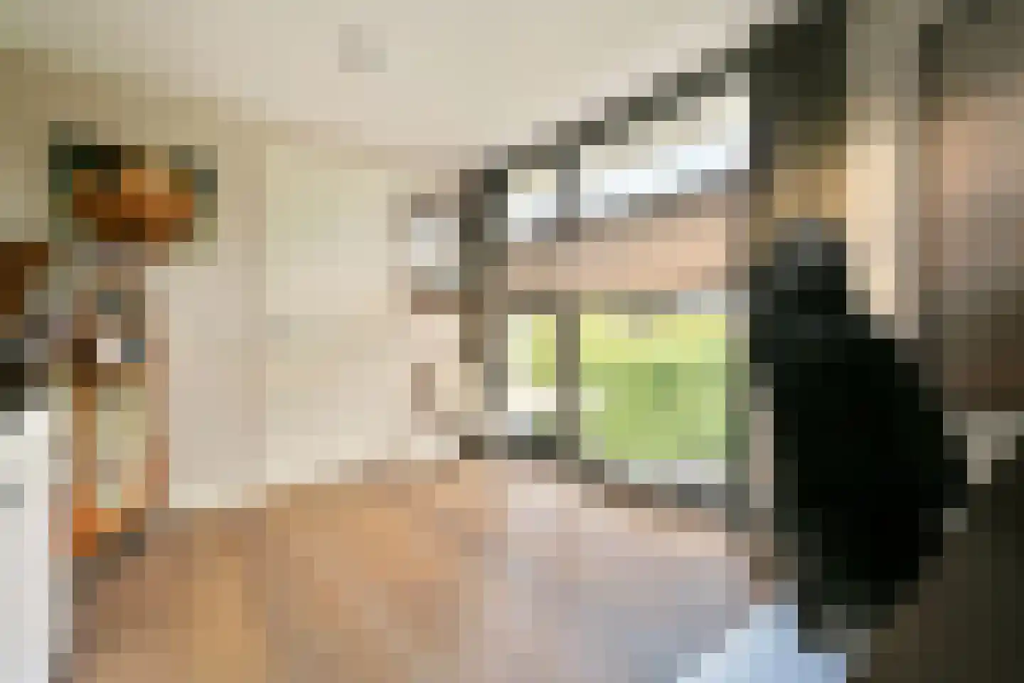 Dennenlaan 5 Dordrecht thumbnail 58