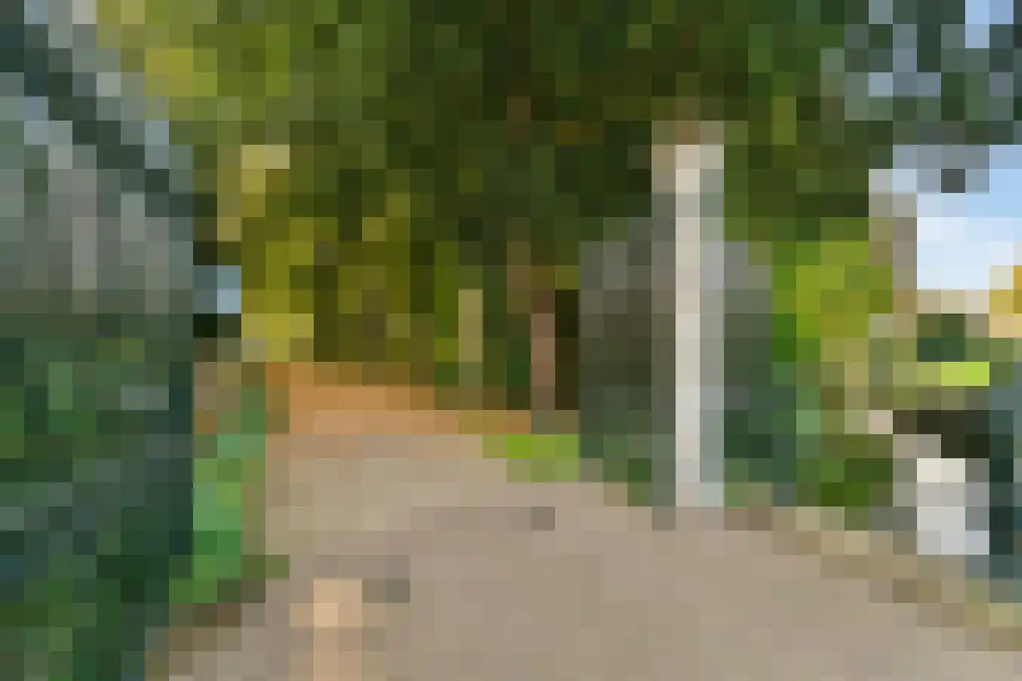 Dennenlaan 5 Dordrecht thumbnail 65