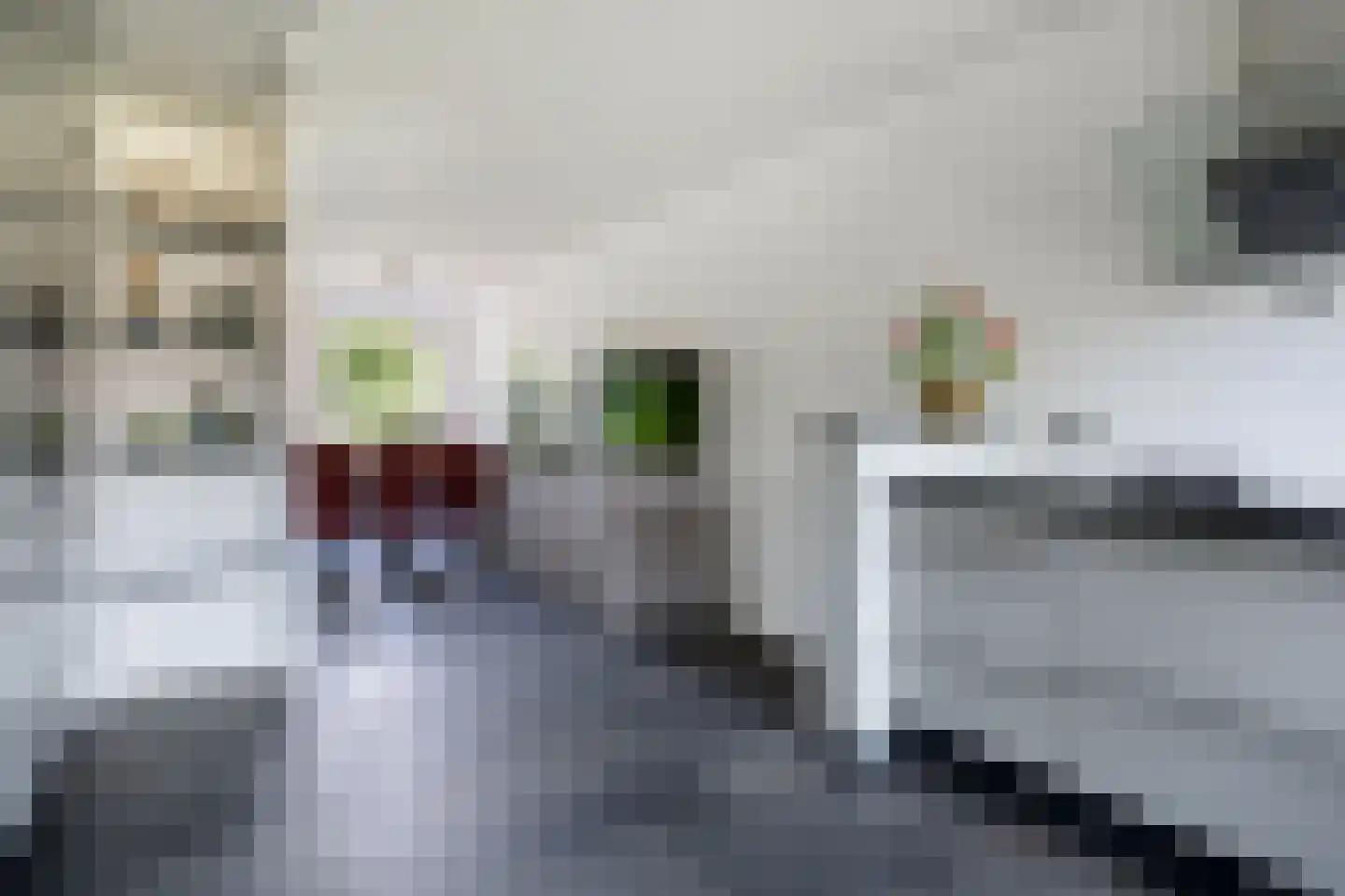 Dennenlaan 5 Emmen thumbnail 12