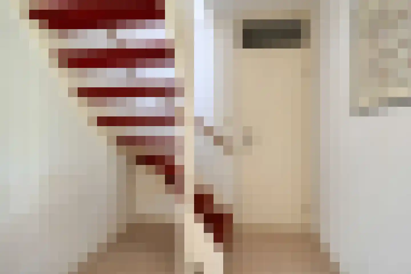 Dennenlaan 5 Emmen thumbnail 17