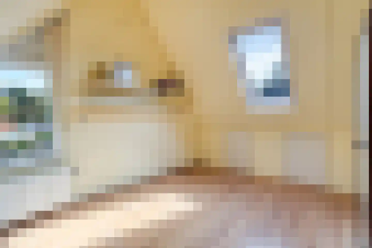 Dennenlaan 5 Emmen thumbnail 26