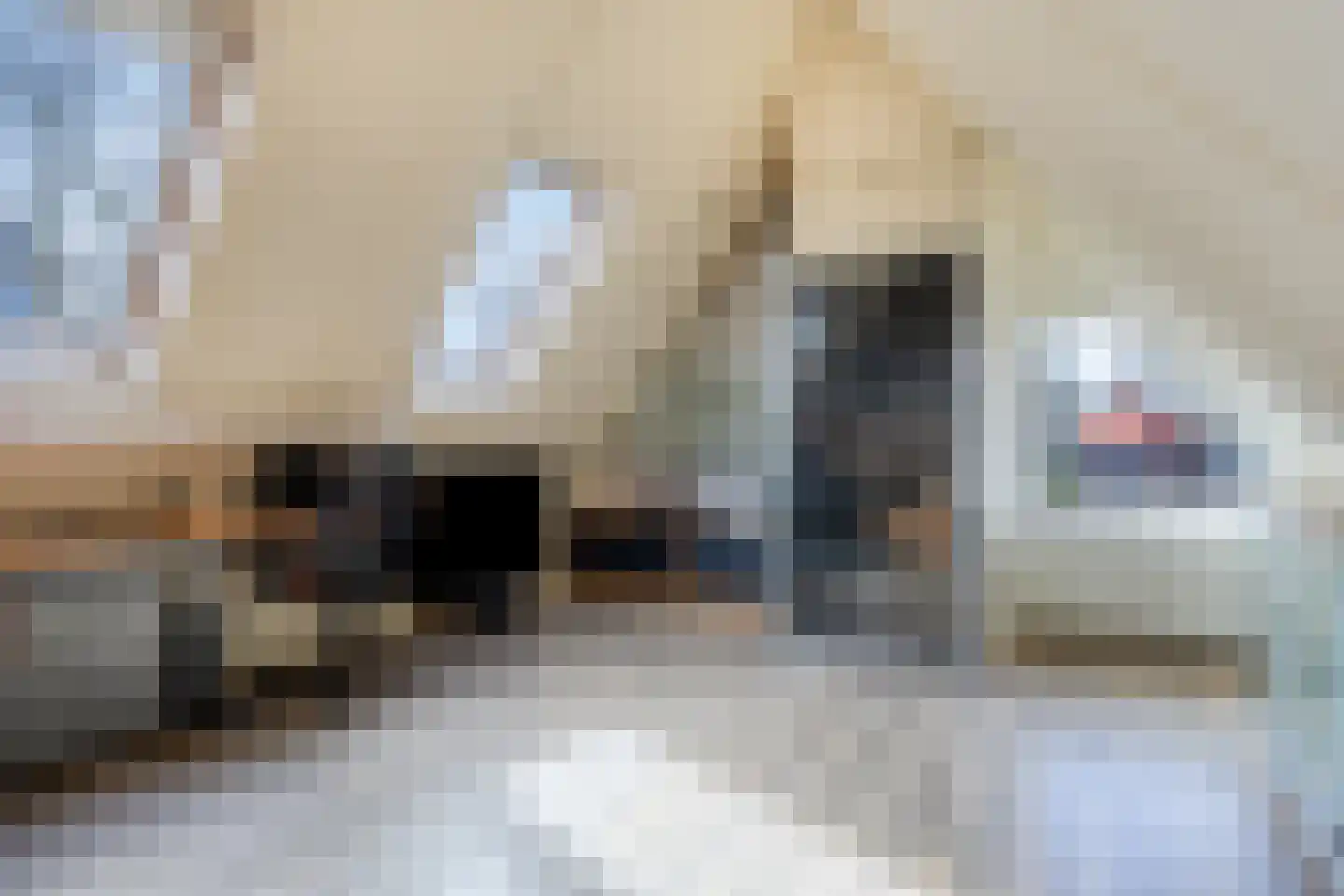 Dennenlaan 5 Emmen thumbnail 28