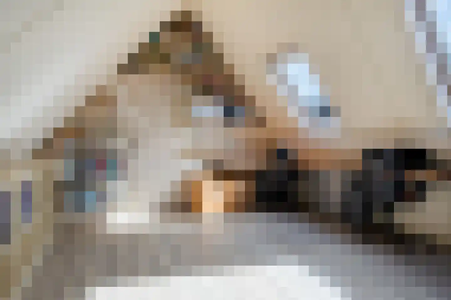 Dennenlaan 5 Emmen thumbnail 29