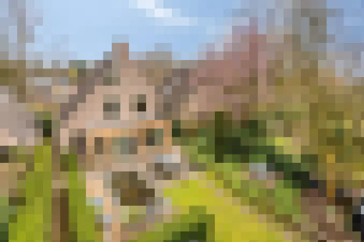 Dennenlaan 5 Emmen thumbnail 31