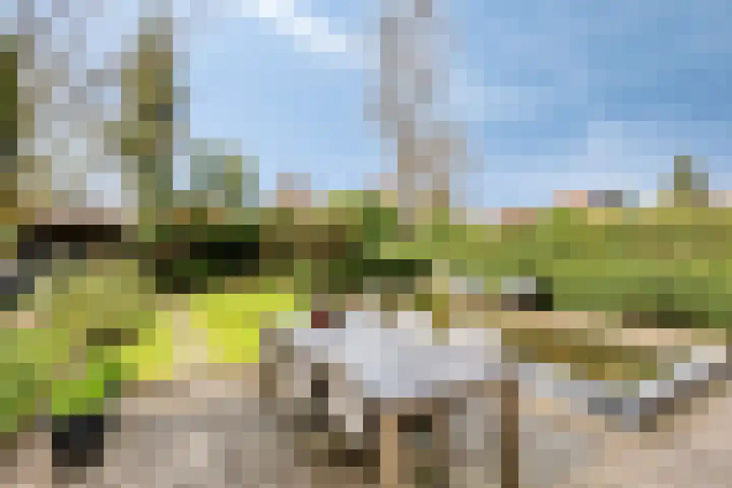 Dennenlaan 5 Emmen thumbnail 33