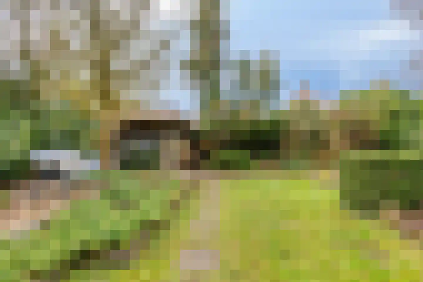 Dennenlaan 5 Emmen thumbnail 34