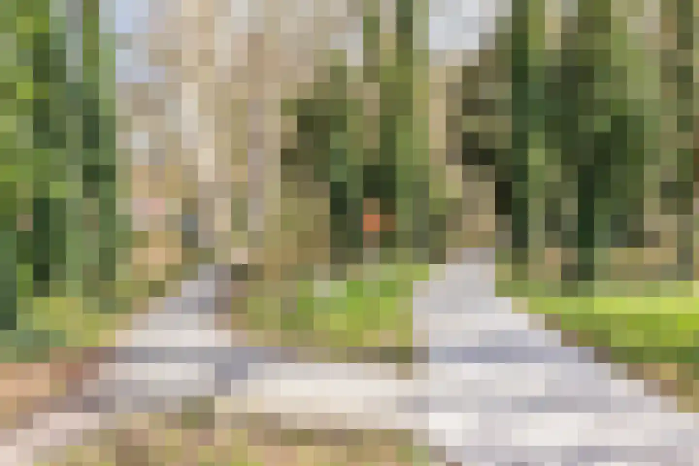 Dennenlaan 5 Emmen thumbnail 42