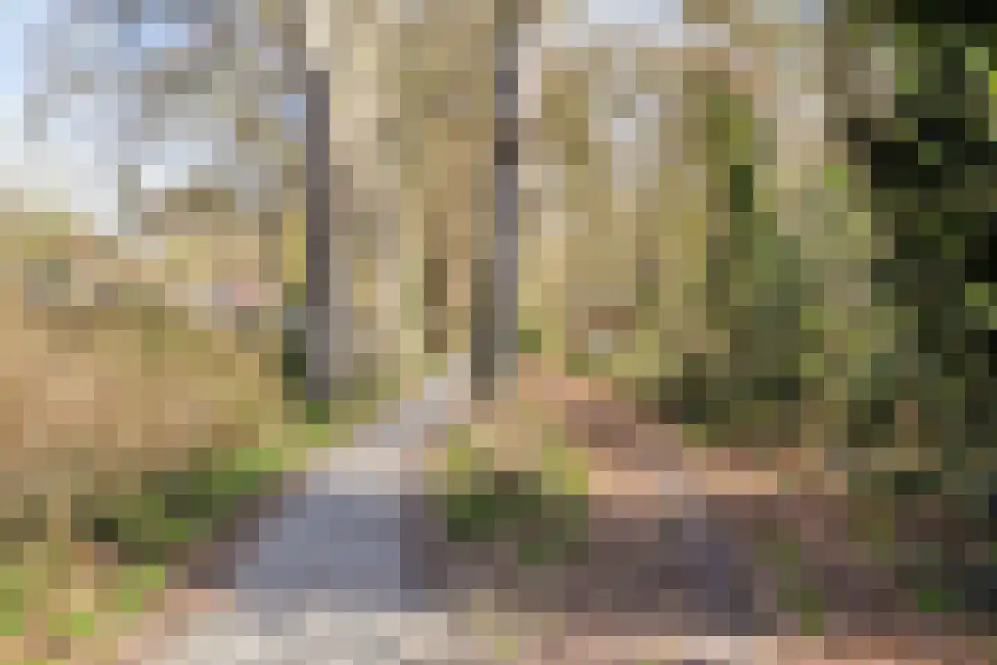 Dennenlaan 5 Emmen thumbnail 43