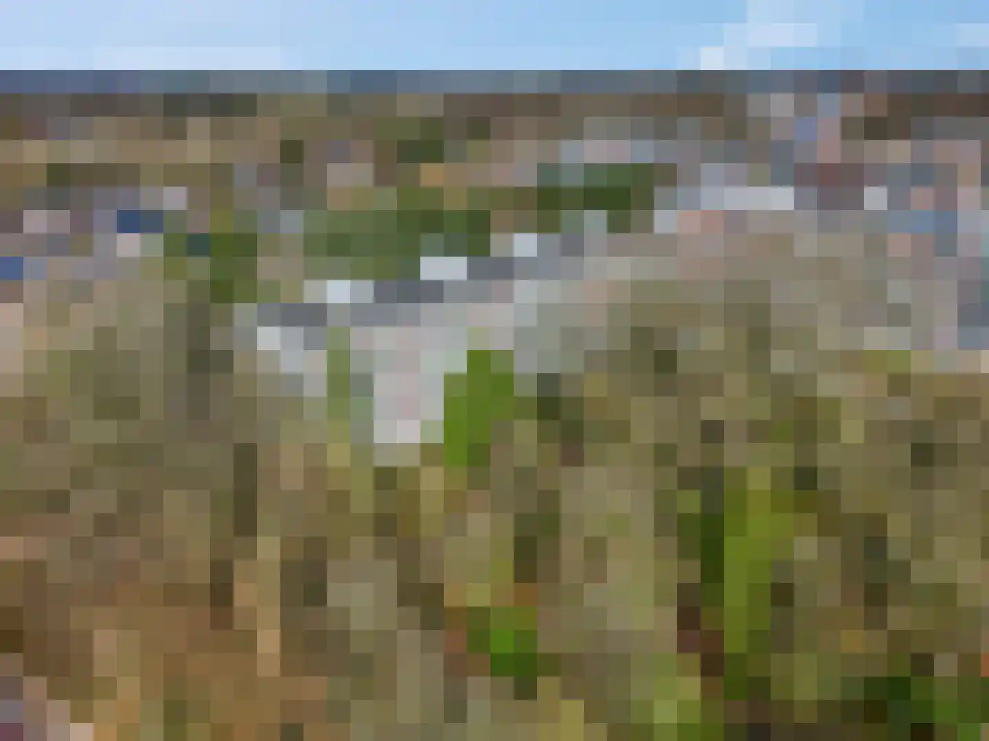 Dennenlaan 501 Ede thumbnail 30