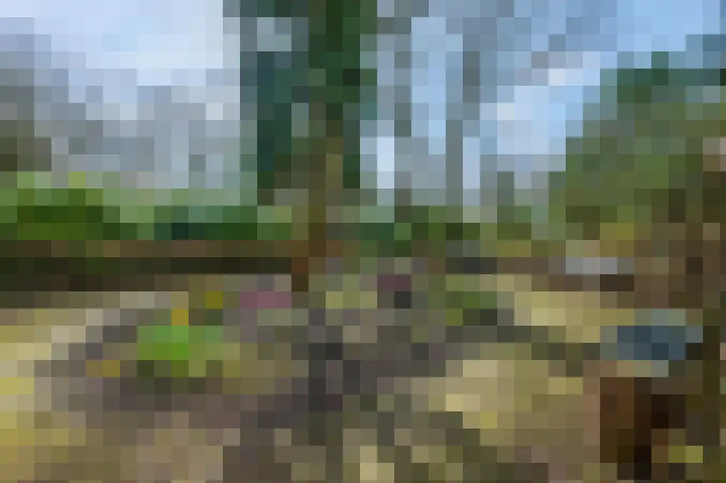 Dennenlaan 501 Ede thumbnail 32