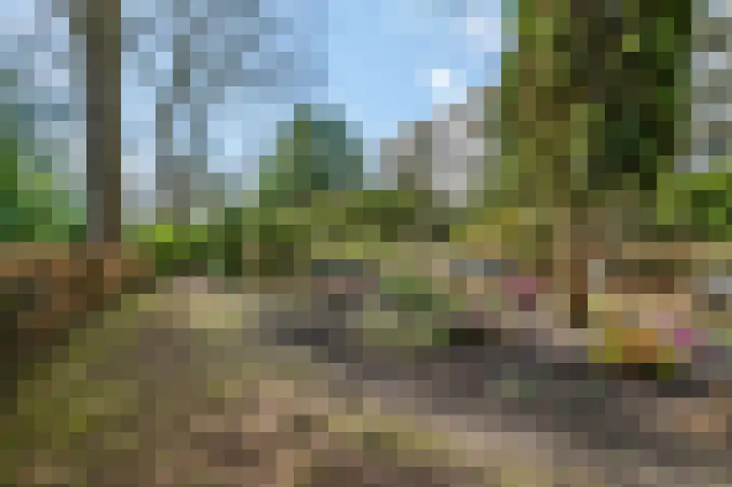 Dennenlaan 501 Ede thumbnail 33