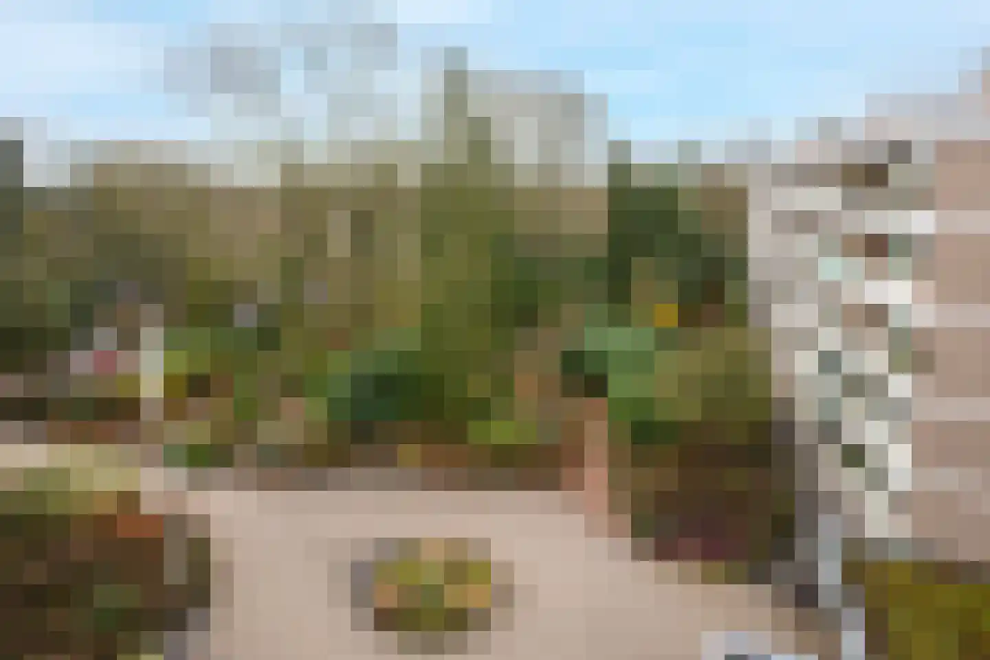 Dennenlaan 511 Ede thumbnail 18