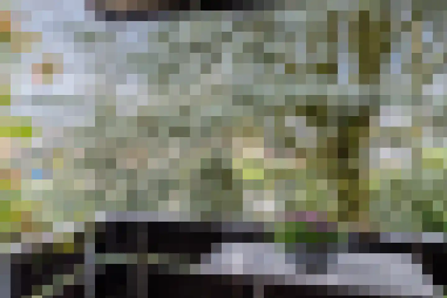 Dennenlaan 55 Hollandsche Rading thumbnail 27