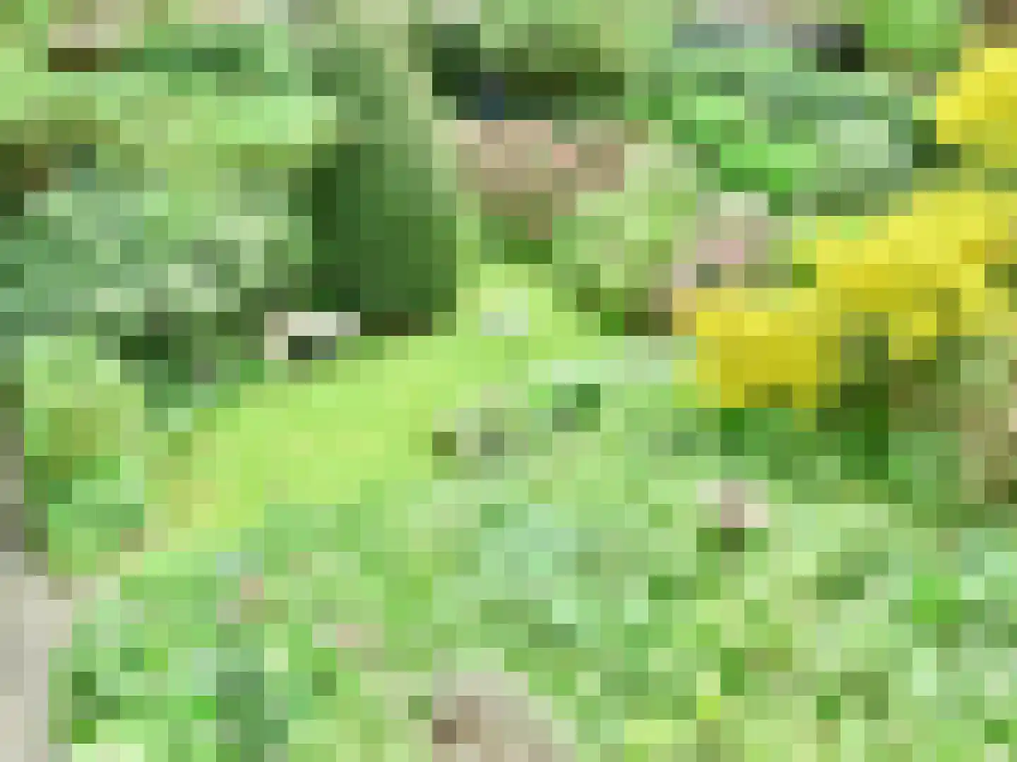 Dennenlaan 55 Hollandsche Rading thumbnail 41