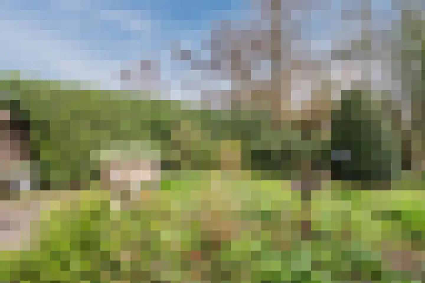Dennenlaan 55 Hollandsche Rading thumbnail 43