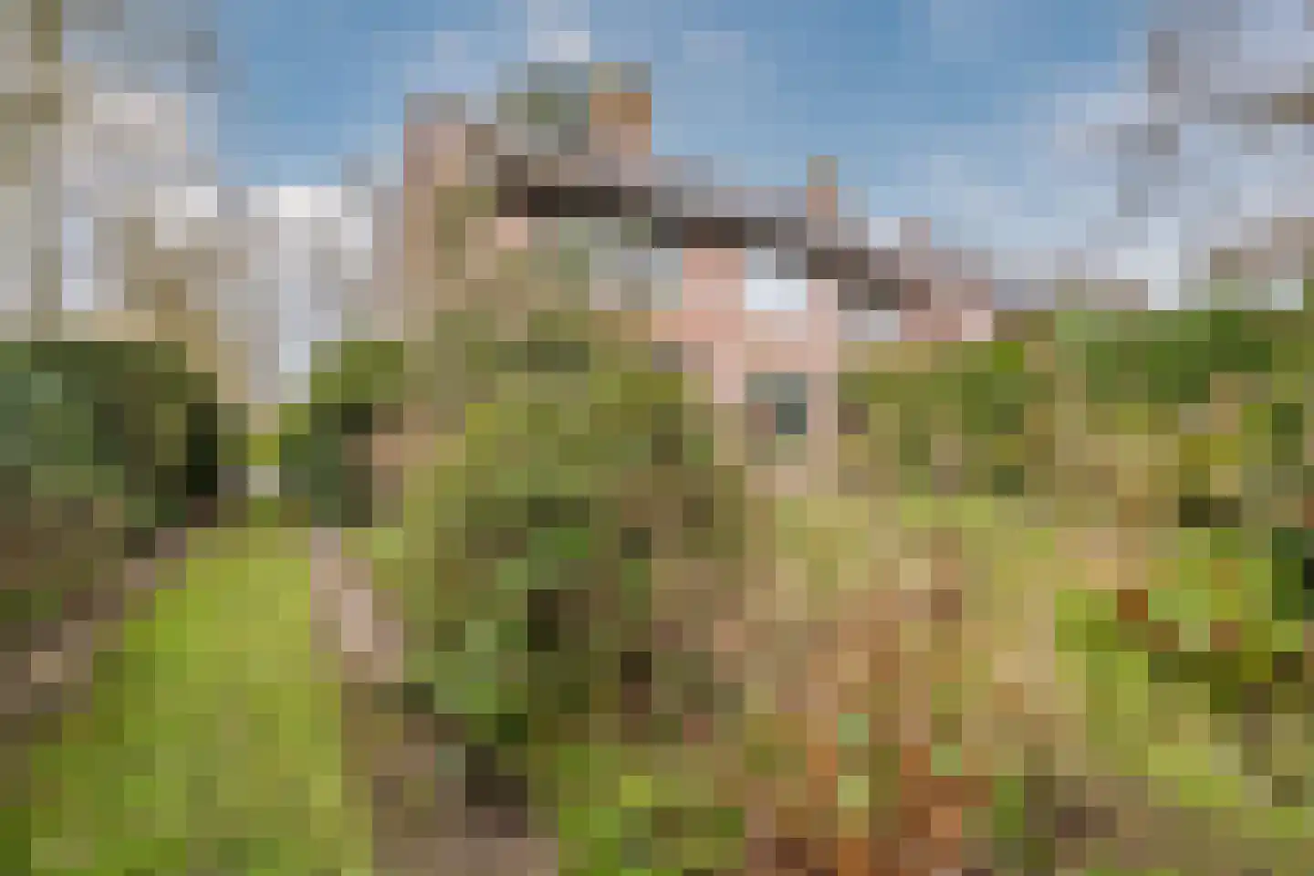 Dennenlaan 55 Hollandsche Rading thumbnail 44