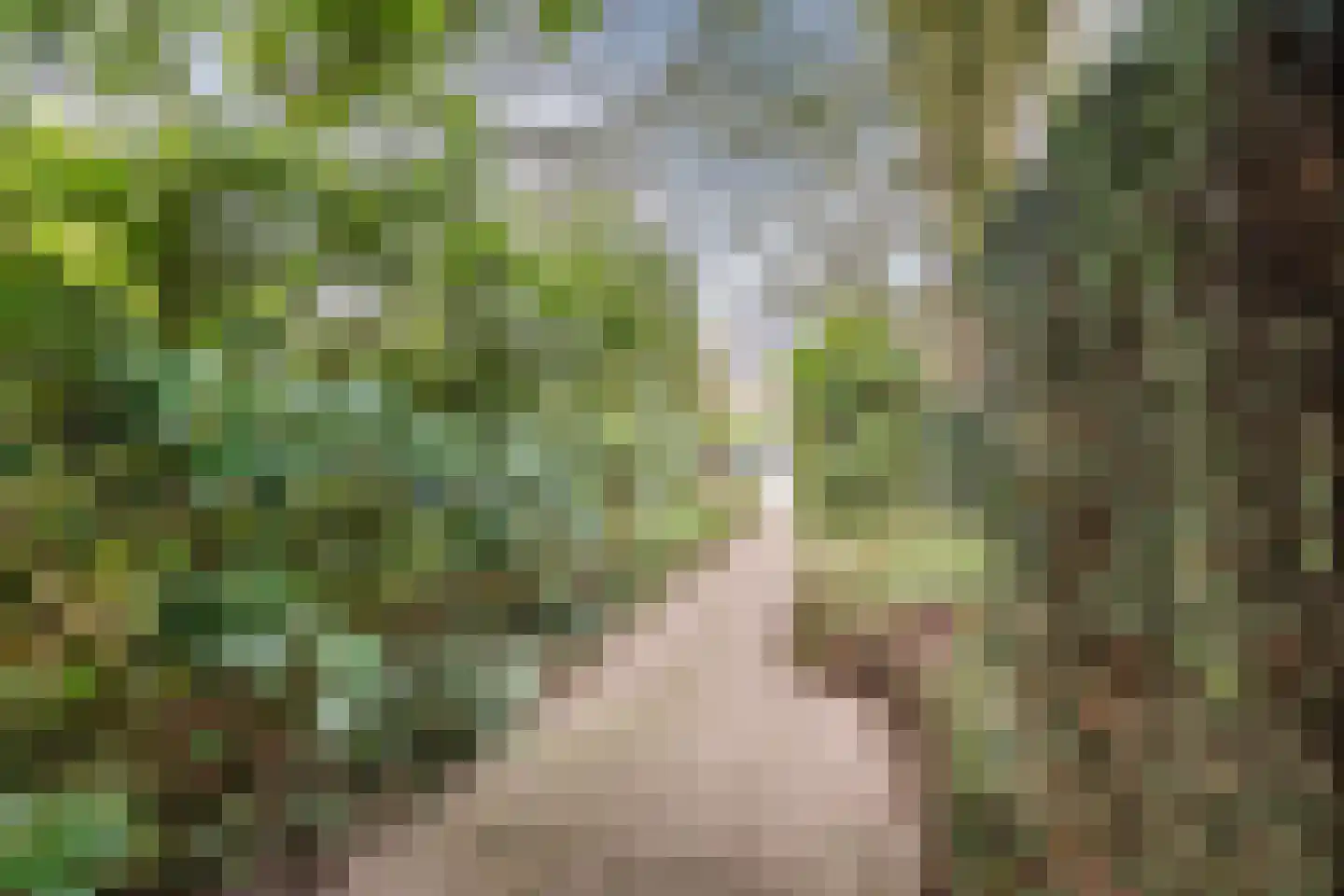 Dennenlaan 55 Hollandsche Rading thumbnail 45
