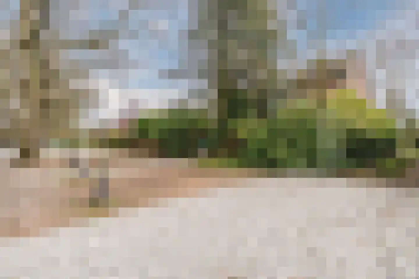 Dennenlaan 55 Hollandsche Rading thumbnail 46