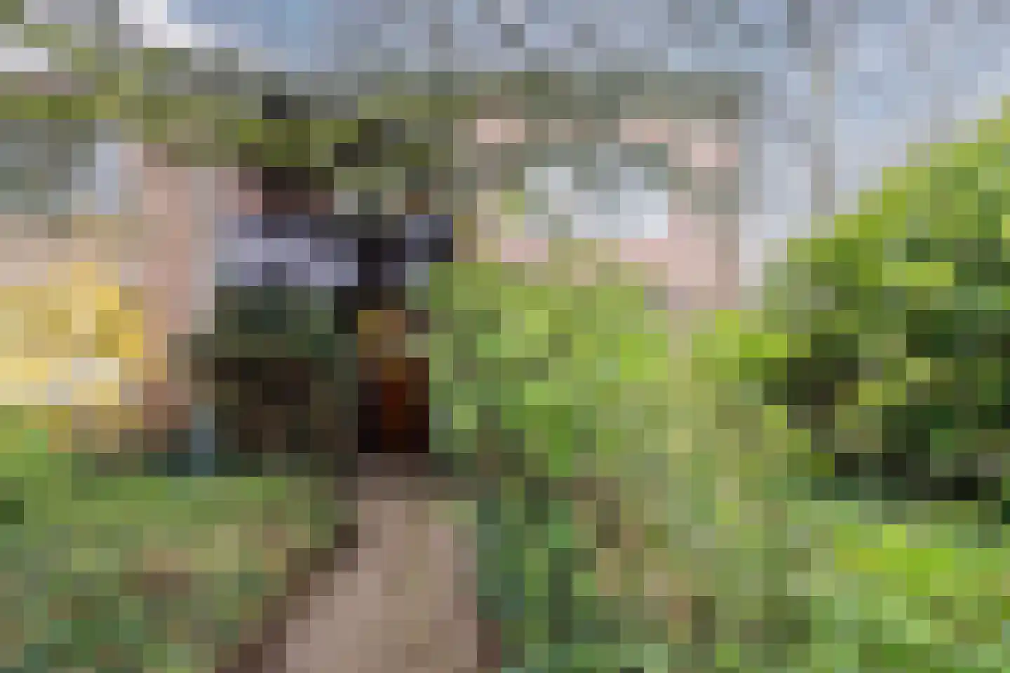 Dennenlaan 55 Hollandsche Rading thumbnail 48
