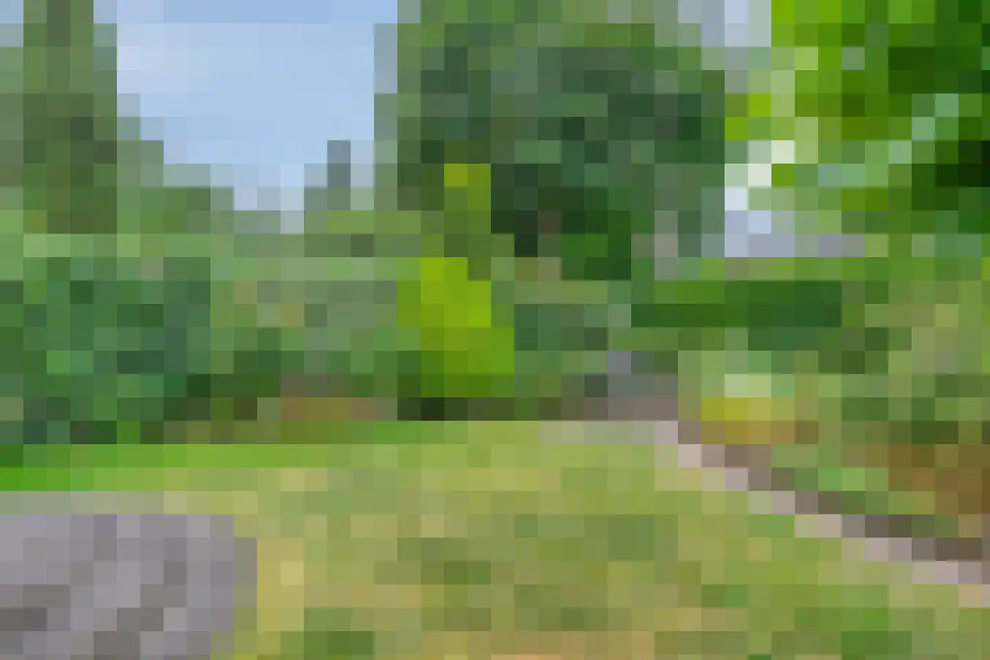 Dennenlaan 57 Emmen thumbnail 42