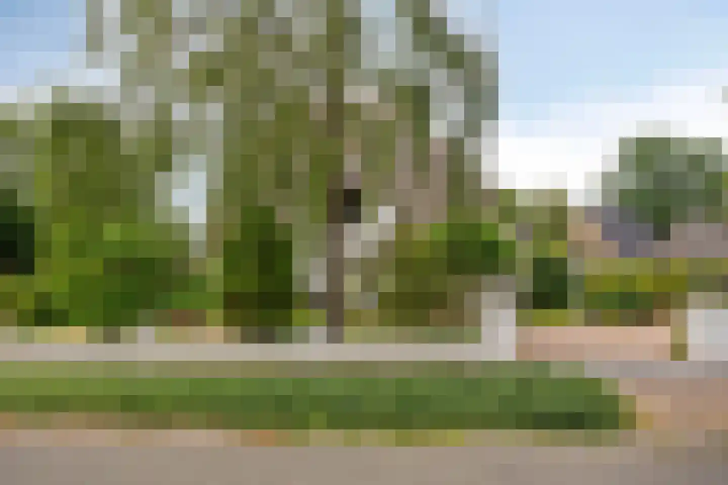 Dennenlaan 57 Emmen thumbnail 45