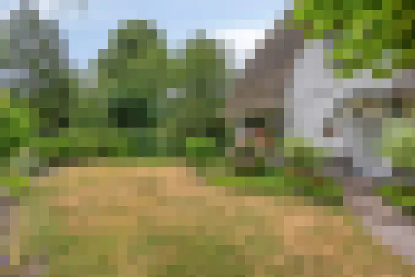 Dennenlaan 57 Emmen thumbnail 6