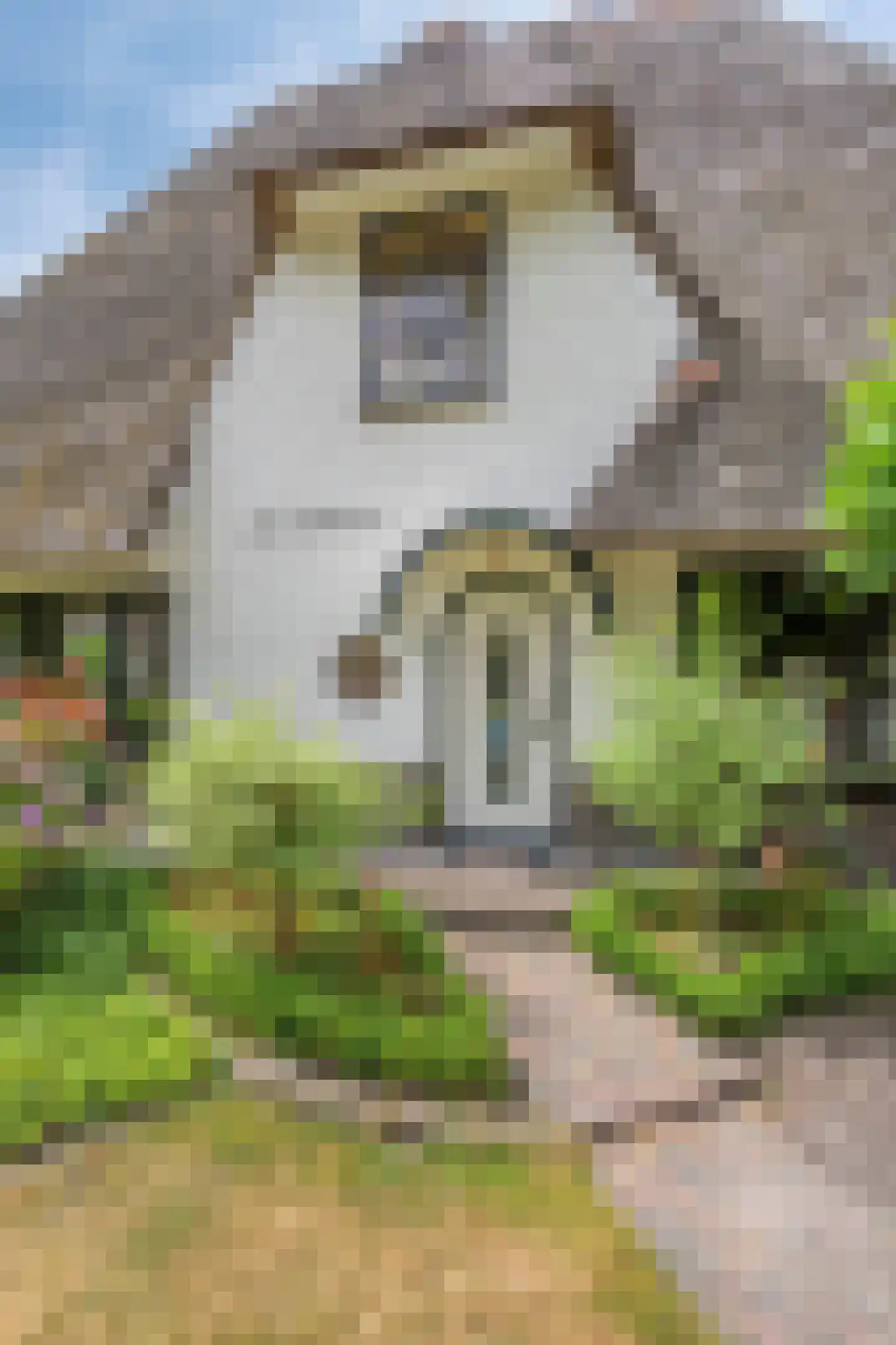 Dennenlaan 57 Emmen thumbnail 7