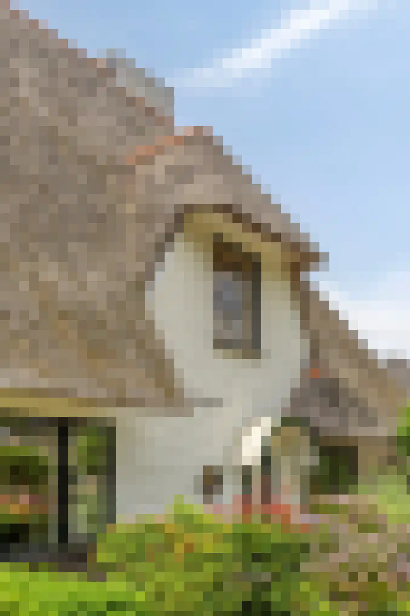 Dennenlaan 57 Emmen thumbnail 8