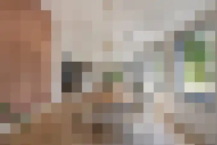 Dennenlaan 6 Sint-Michielsgestel thumbnail 10