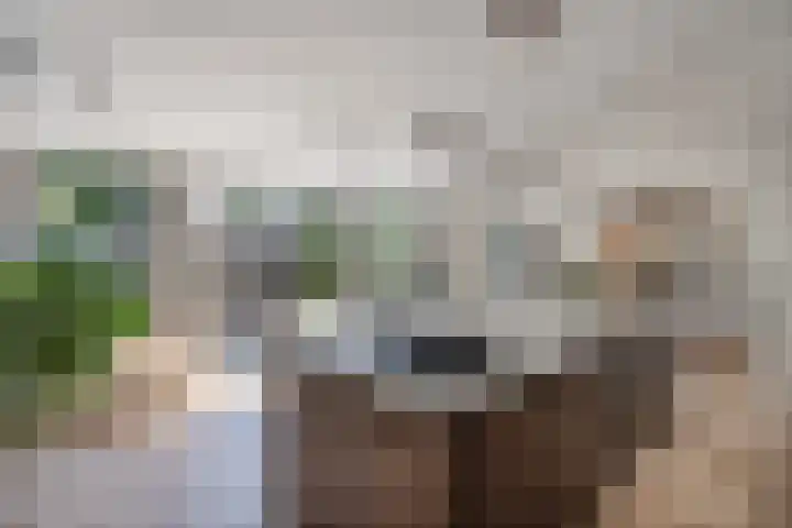 Dennenlaan 6 Sint-Michielsgestel thumbnail 11