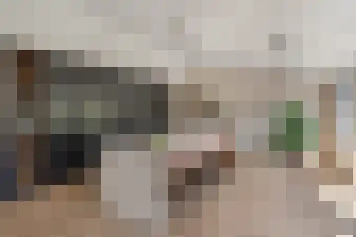Dennenlaan 6 Sint-Michielsgestel thumbnail 12